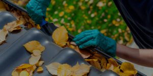 What Happens If Your Gutters Are Clogged?