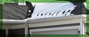 Gutter Guards for Cold Climates