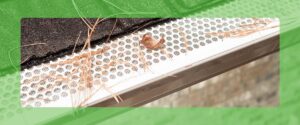 Do Gutter Guards Work With Pine Needles?