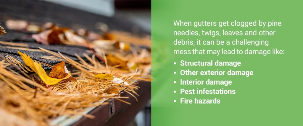 Do Mesh Gutter Guards Protect Gutters from Pine Needles?